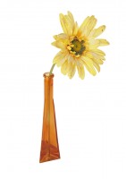 Flower in Vase