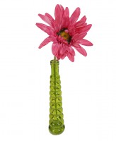 Flower in Vase