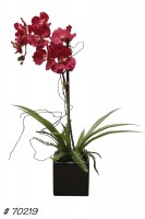 Faux Plant