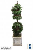 Topiary