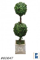 Topiary