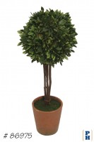 Topiary