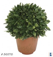 Topiary