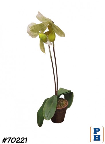 Faux Plant