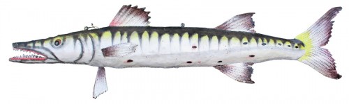Fish Wall Decor