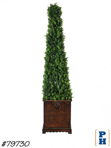 Topiary / Faux Plant