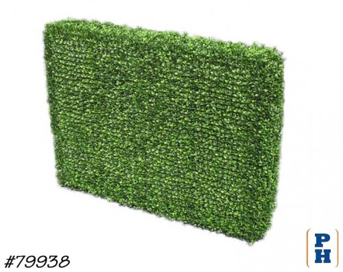 Boxwood Hedge