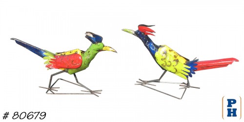 Roadrunner