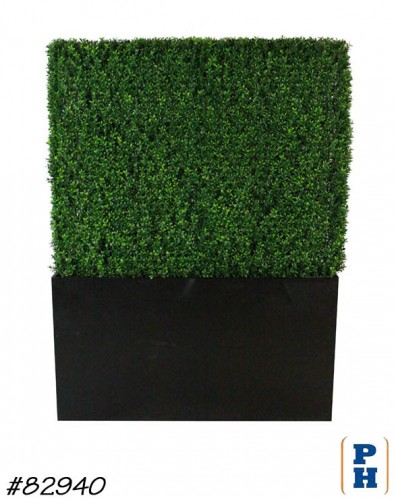 Boxwood Hedge / Planter