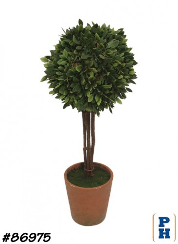 Topiary