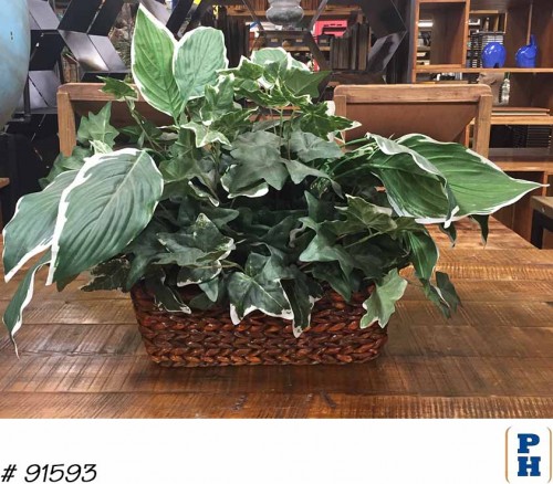 Fake Plant