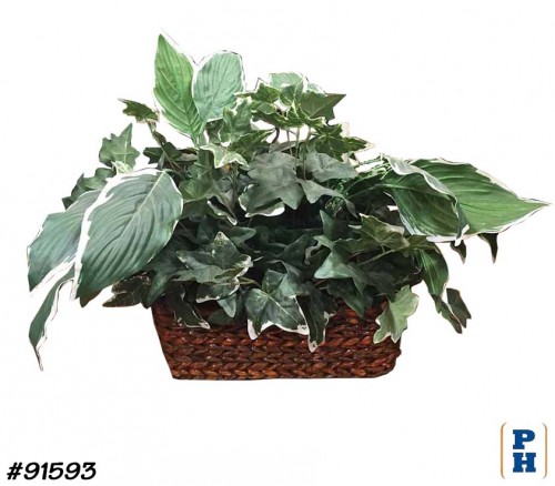 Fake Plant