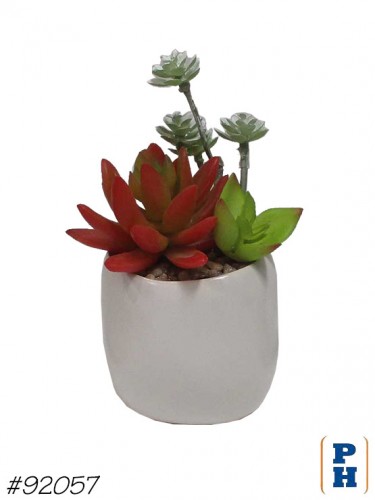 Fake Plant