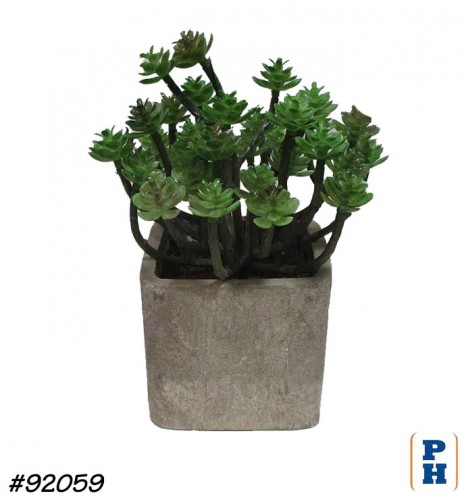Fake Plant