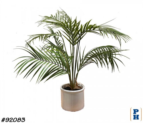 Fake Plant