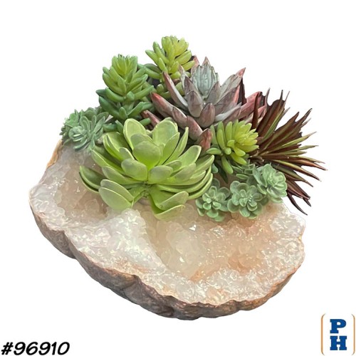 Rock with Succulents