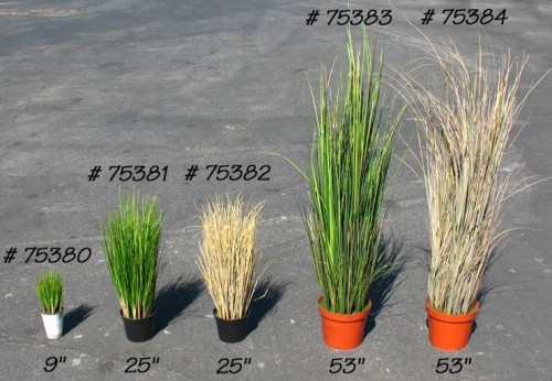 Grass in Assorted Heights