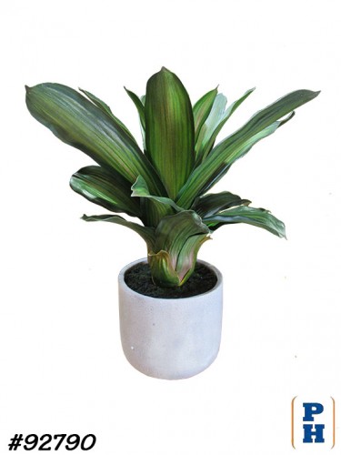Fake Plant