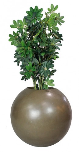 Planter - Vase