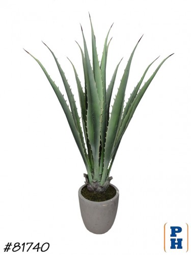 Fake Plant