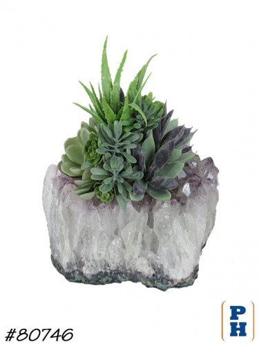Rock with Succulents