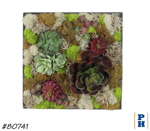 Wall Decor