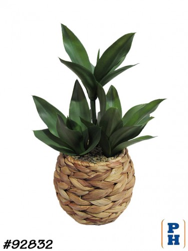 Fake Plant