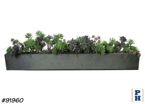 Planter with Succulents