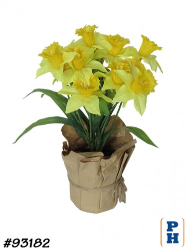 Fake Plant