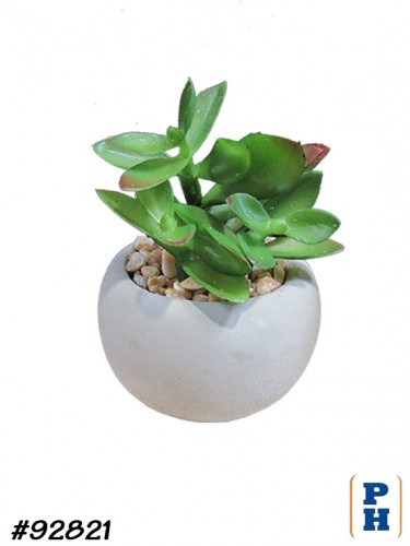 Fake Plant