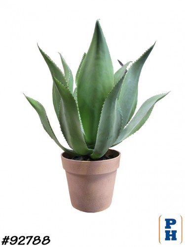 Fake Plant