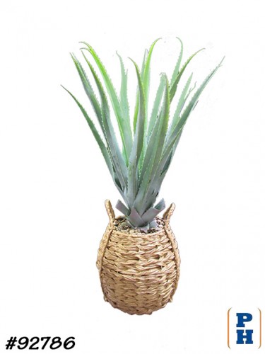 Fake Plant