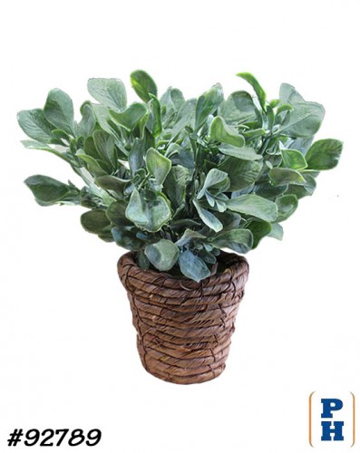 Fake Plant