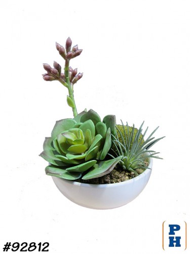 Fake Plant