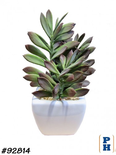Fake Plant