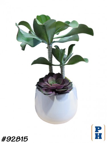 Fake Plant