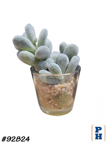 Fake Plant