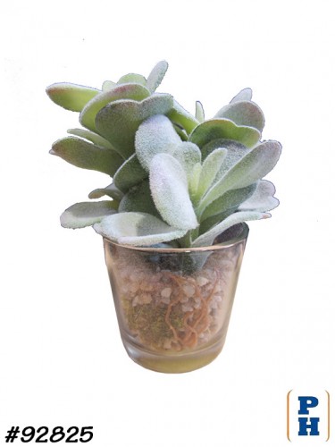 Fake Plant