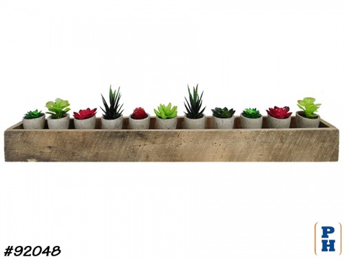 Planter with Succulents