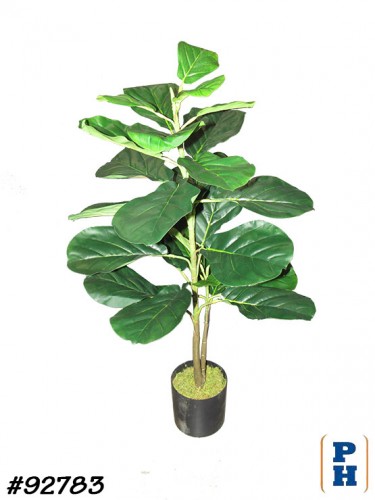 Fake Plant