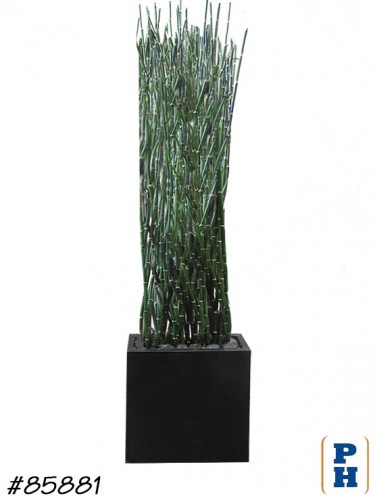 Fake Plant