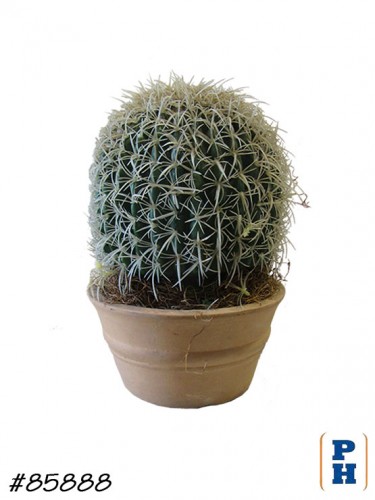 Fake Plant
