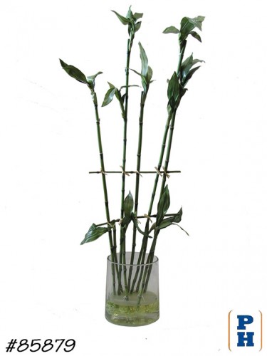 Fake Plant