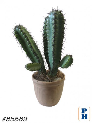 Fake Plant