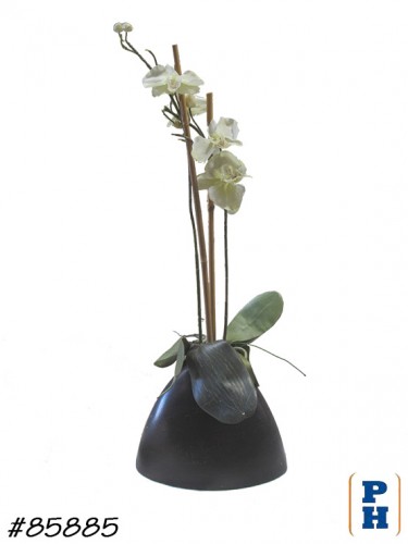 Fake Plant