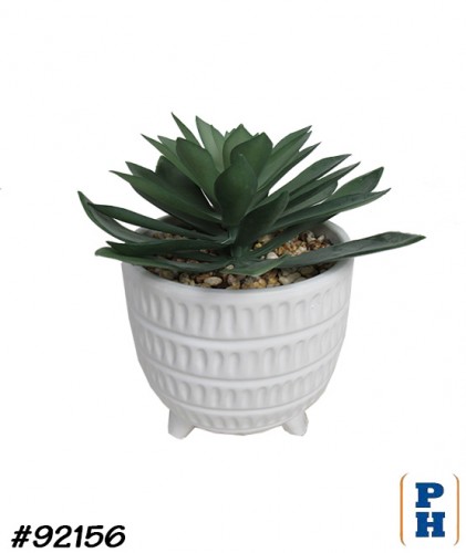 Fake Plant