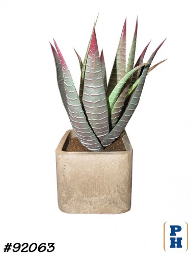 Fake Plant
