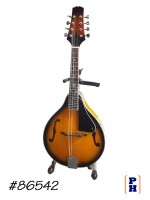 Mandolin