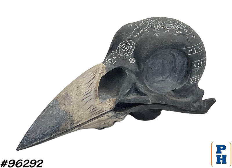 Bird Skull in Occult & Magic
