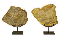 Decorative Rocks & Stones